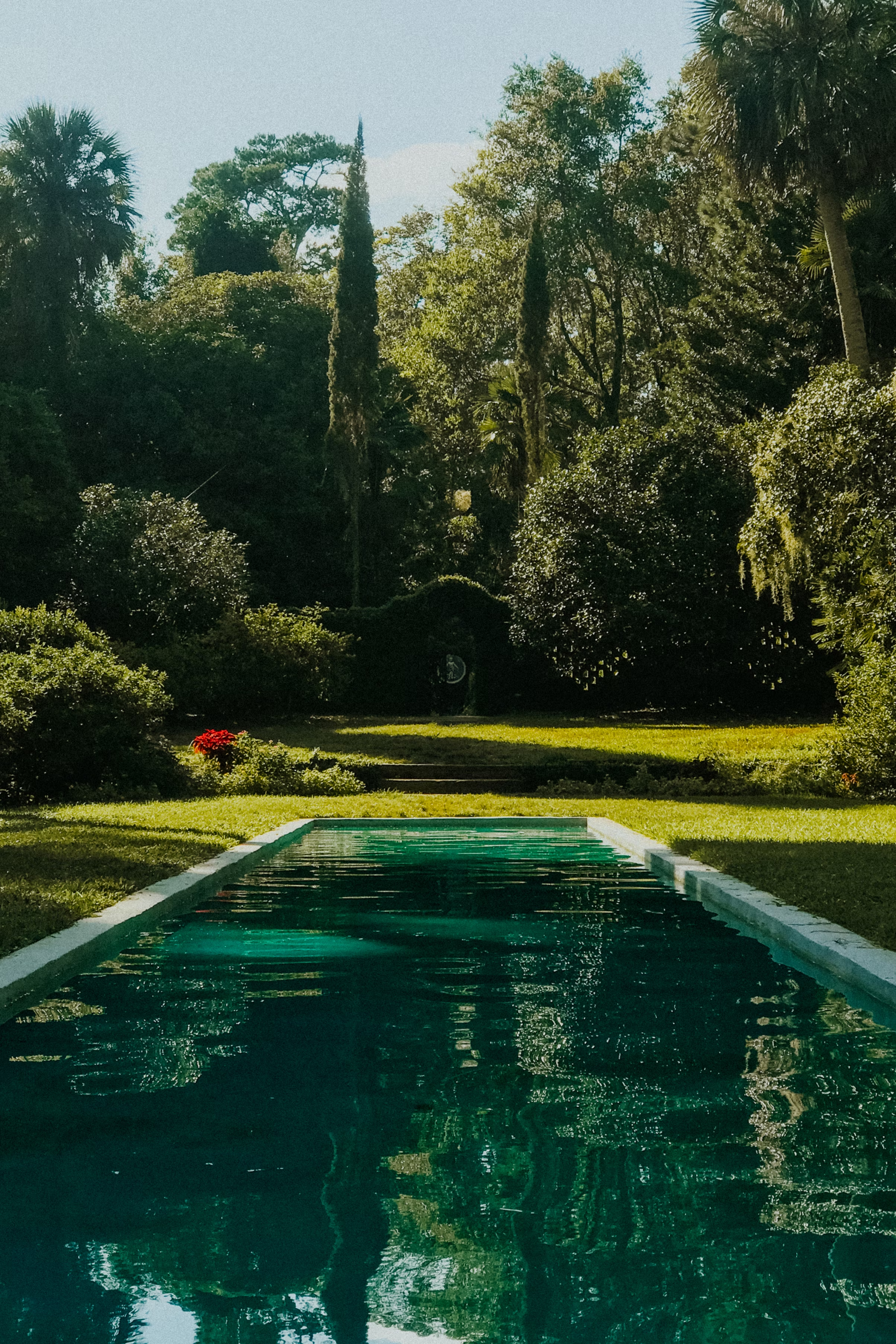 pool in green garden
